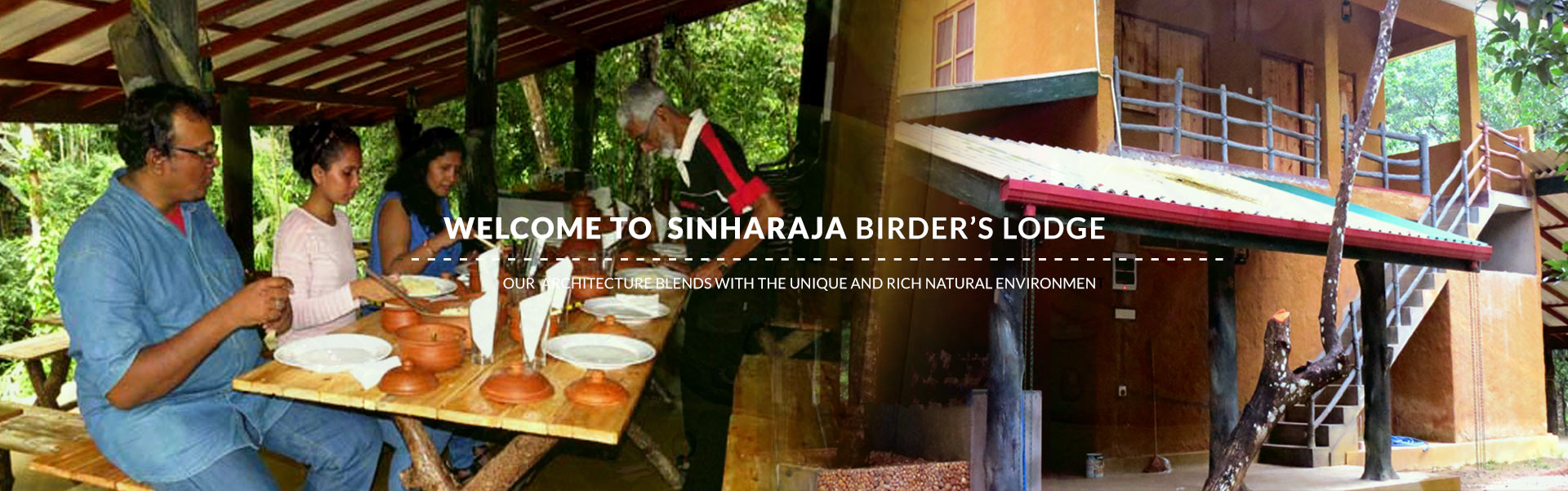 sinharaja lodge