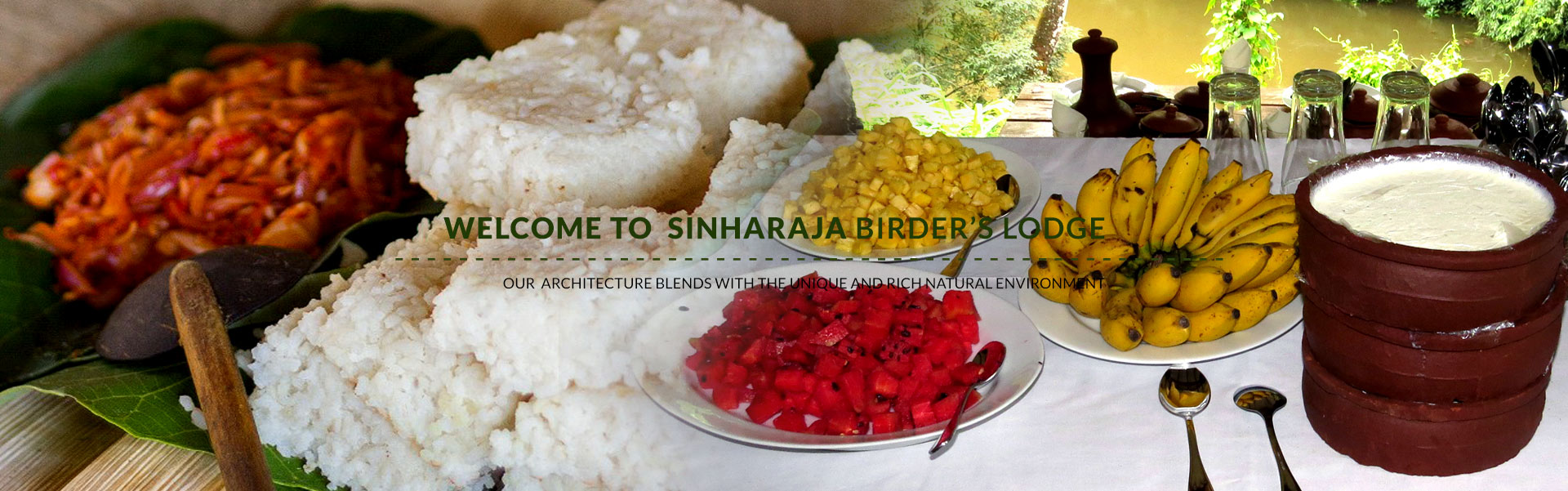 sinharaja hotels